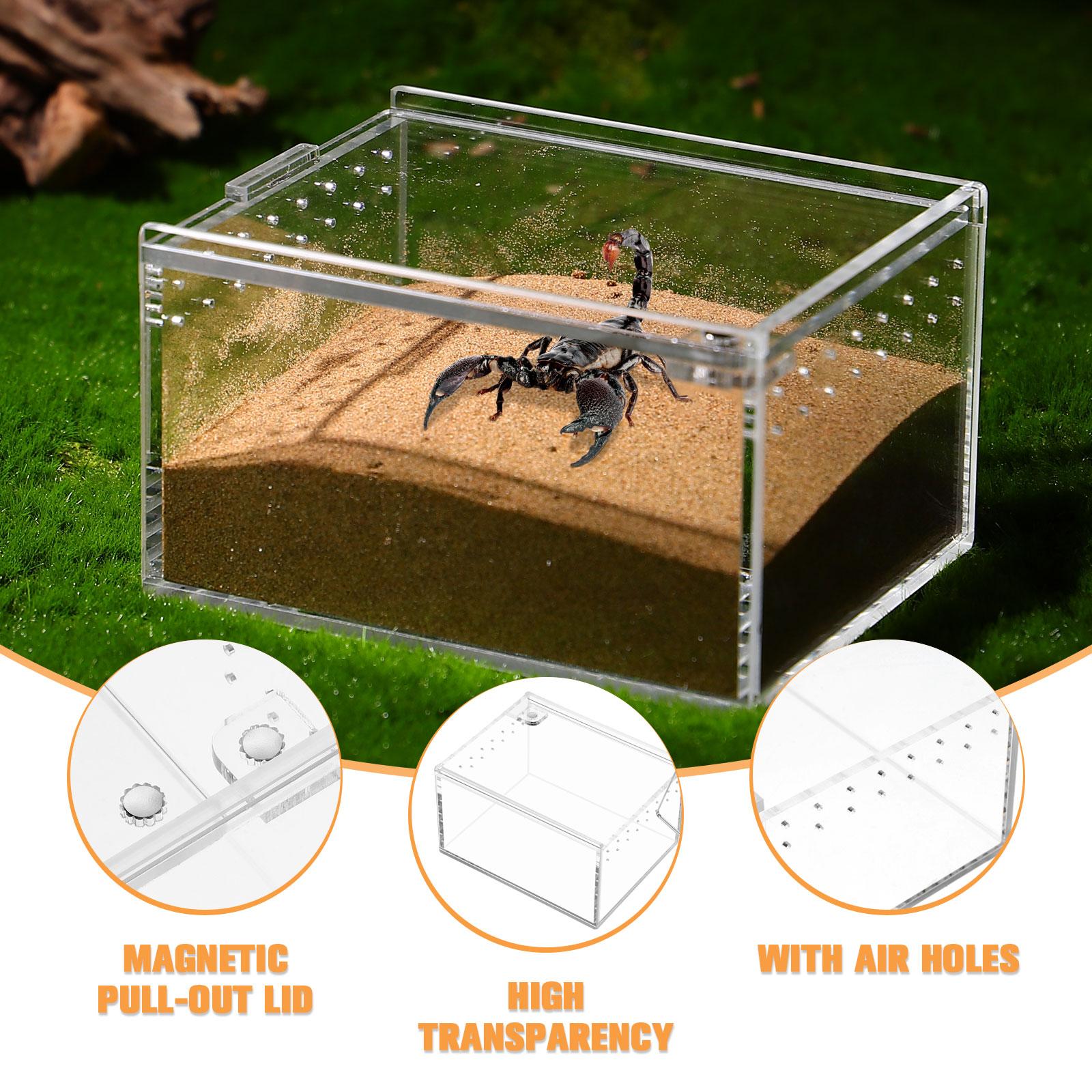 

1PC Leak Proof Reptile Box Transparent Climbing Pet Feeding Container Proof Case For Terrarium Habitat Lizard Nest