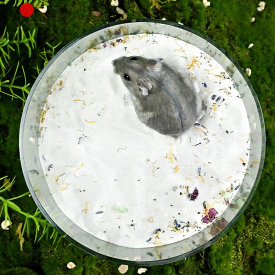 Sand Container Creative Design Wide Applicability Transparent Acrylic Critter Sand Bath Box