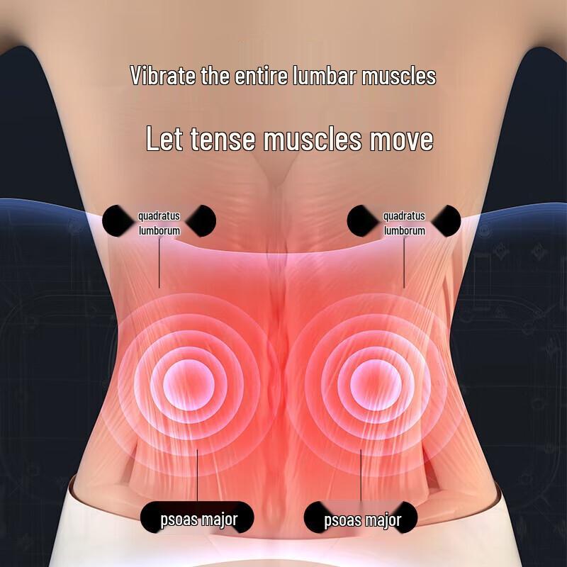 Chigo Smart Heated Waist Massager