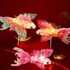 Waterproof Handheld  Fish Lantern Handheld DIY Lantern Materials  Home Decor