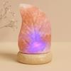 Himalayan Salt Lamp Leaf Multicolor USB Powered