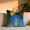 DDoja Cat Singer Cushion Cover Cozy Velvet Throw PillowSoft Warm Cushion For Sofa  Bed