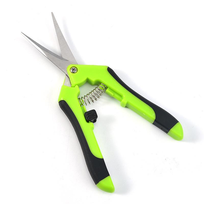 Stainless Steel Pruning Shears – Straight Head Elbow Flower, Fruit, and Vegetable Scissors.