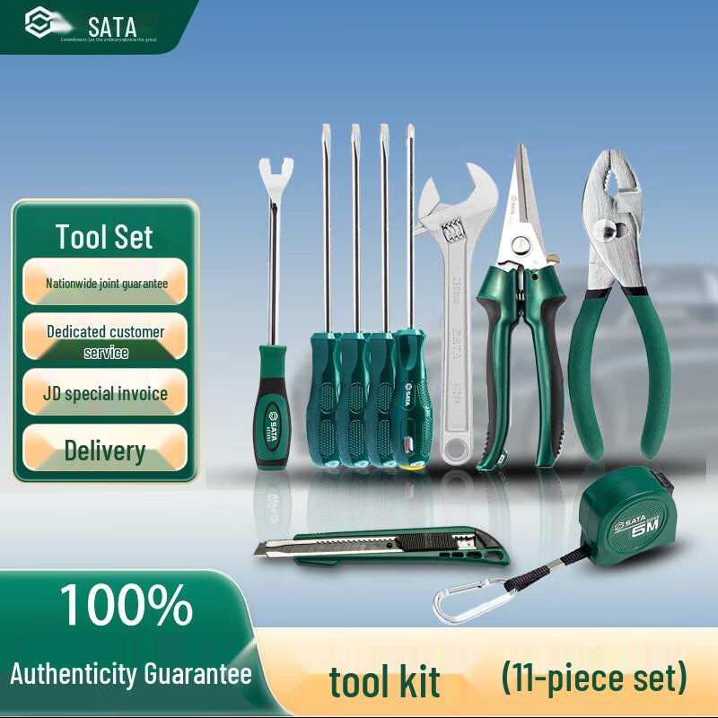 SATA 11-Piece Tool Set