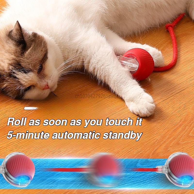 Interactive Toy for Cats Toy Automatic Rolling Ball Cat Accessories Rolling Ball Magic Ball Toys for Cat Training Imitate Mouse