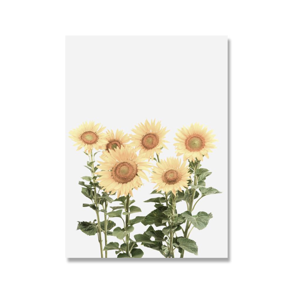 

Подсолнух Настенная Живопись Холст Желтые Лепестки Искусство Скандинавские Плакаты И Принты Акварельные Настенные Картины Для Декора Гостиной 40x50cm No Framed