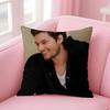 Cool B-Ben Barnes Cushion Cover Linen Pillowcase Cover Soft Decor For Sofa Home Room