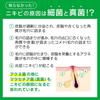 Collage Furufuru Whipped Soap Foam Facial Cleanser Acne Care Use Refill [Bulk Purchase] 2-times 2-pack