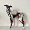 Dog Jumpsuit 4-legged Cotton Coat for Dog Greyhounds Loungewear Spring Autumn Dog Striped Sweatshirt Bellington High-Neck Shirt