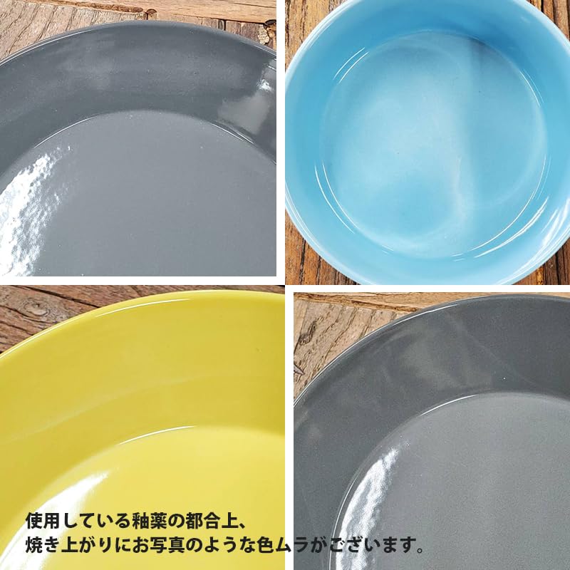 TAMAKI Luonto Plate Talvi Diameter 22cm x Height L, Gray, 2cm, T-962718