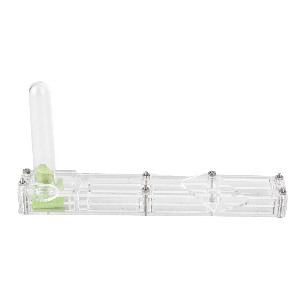 Acrylic Ant Breeding House Nest Formicarium Display Box with Water Tower Moisturizing
