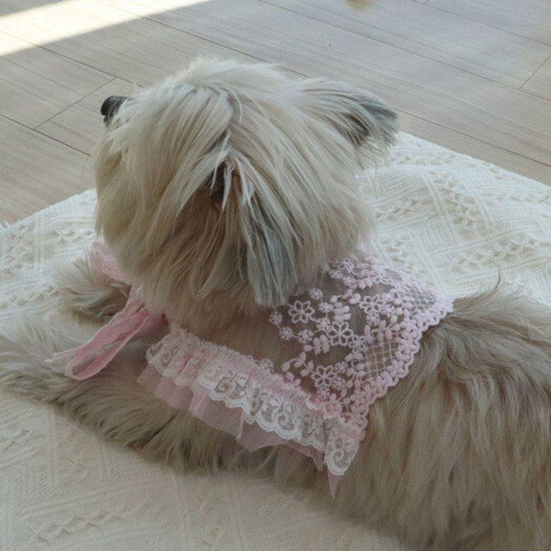 Haneul Mung Mung Tinker Bell Lace Cape