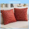 Heartshaped Cover Pillow Solid Color Plush Pillowcase Car Sofa Cushion Bedroom