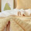 Winter Blanket Coral Fleece Blankets Office Shawl Nap Blanket Air Conditioning Duvet Bedding Warm Sheets 200*230cm