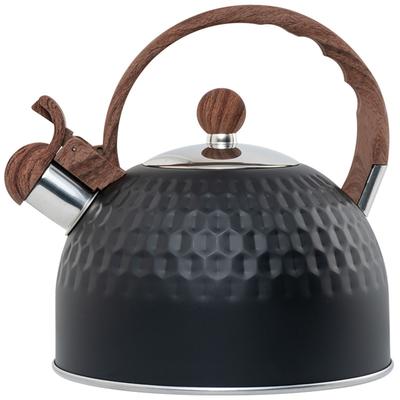 2.5L Stainless Steel Tea Kettle for Home Whistle Marble Kettle Teapot with Handle