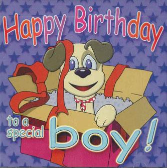 

CD UNKNOWN - Happy Birthday Little Boy COLD11232 NAMESAKES Non Japan Children s Used