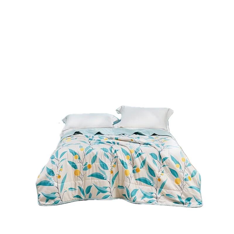 Luolai Super Soft All-Season Quilt