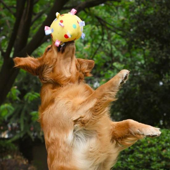 Pet Chew Toy Dot Printing Colorful Webbing Highly Elastic Bite-Resistant Cotton Filling Built-in Bell Noise Making Dog Toy