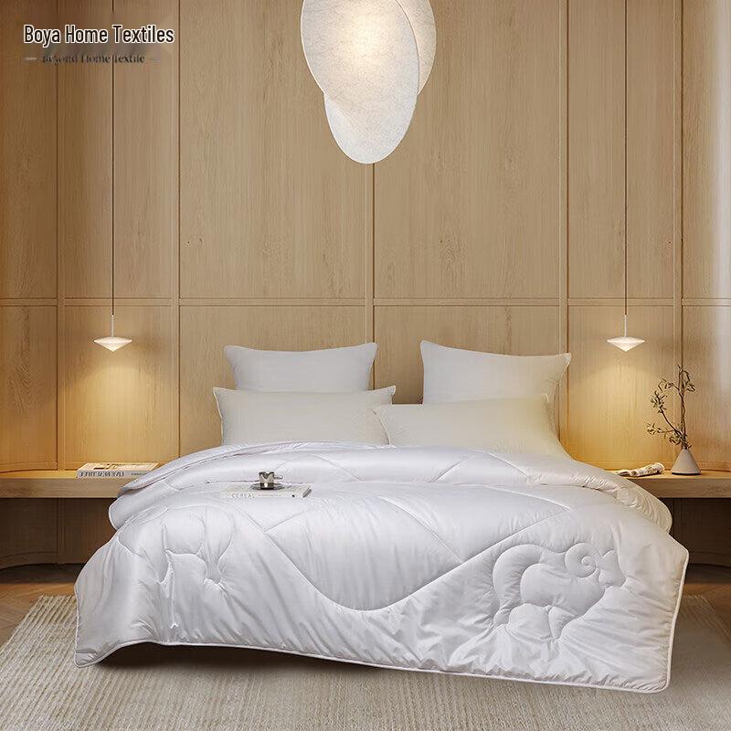 

Beyond Home Textile Aogruisi Wool Winter Quilt