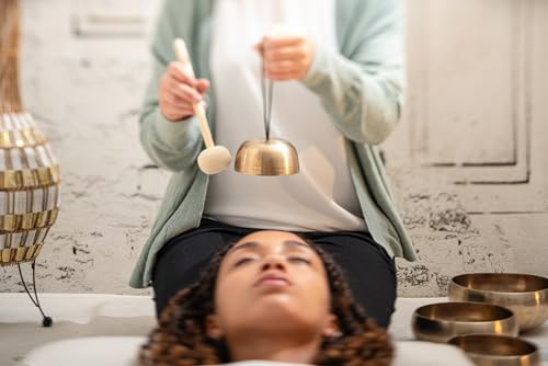 MEINL Sonic Energy Collection Singing Bowl Mallet SB-M-LT-S [Official Japanese Product]