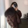 New natural raccoon real fur collar white duck down jacket women's short thickened warm fashion jacket