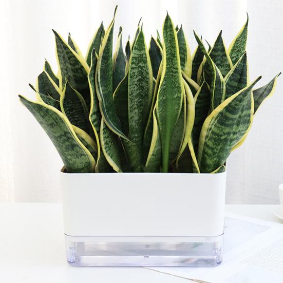 Self Watering Plant Pot with Drainage Holes High Strength Reusable