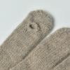 Knitted Gloves Women's Winter Warm Thickened Cycling Electric Vehicle Cotton Gloves Cold Touch Screen Woolen Gloves