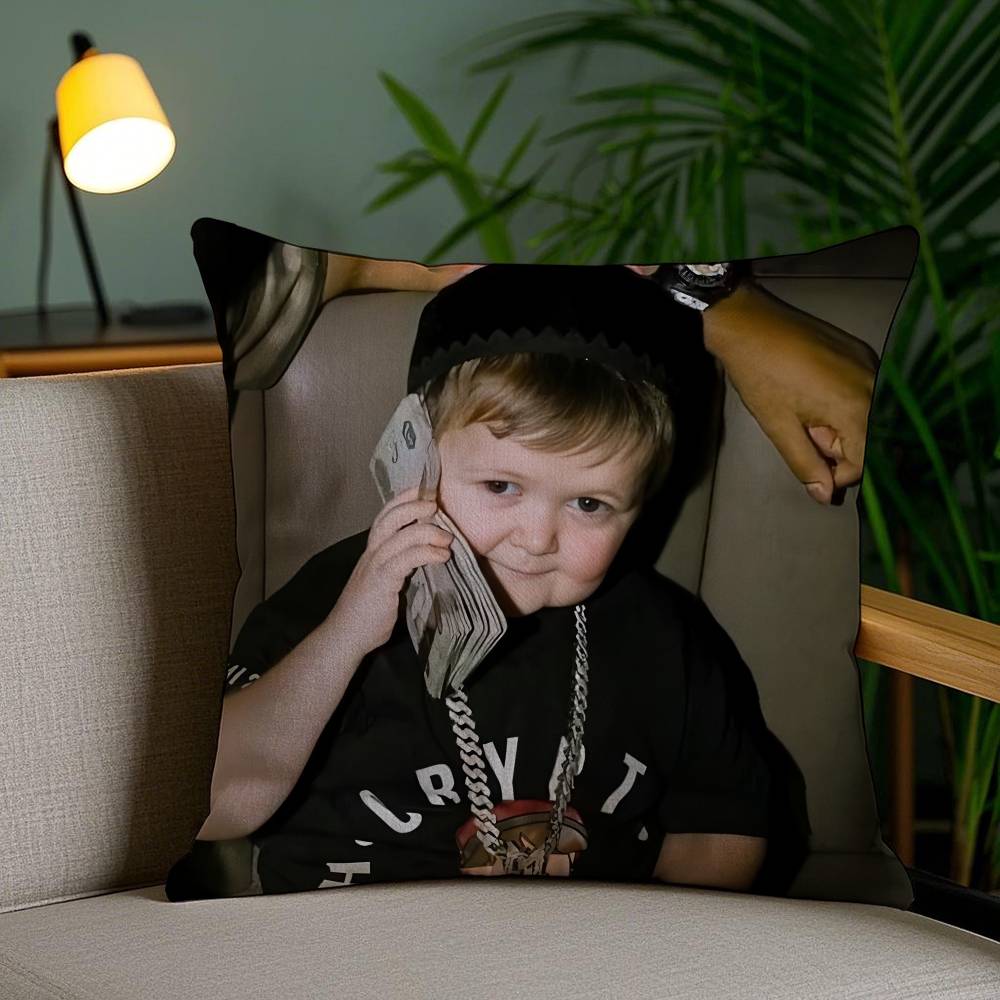 

Ha-asbu-lla Pillow Case Anti-dustmite Invisible zipper Sofa Bed 12x12Inch