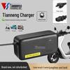 Caricabatterie al piombo-acido per scooter elettrico Tianneng 60V 3A