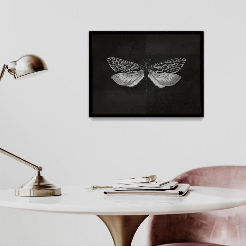 Schwarz Weiß Dunkel Schmetterling Motte Leinwand Poster Vintage Wandkunst Minimalistisch Insekt Botanisches Gemälde für Gotisches Wohnzimmer De