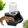 Automatic Reptile Water Dish Reusable Container Creative Feeder Station Ornament Drinking Tool for Snakes Tortoise Geckos