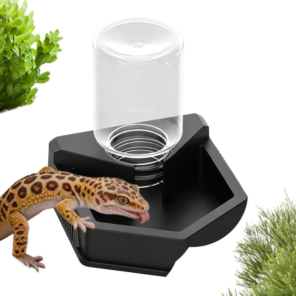 Automatic Reptile Water Dish Reusable Container Creative Feeder Station Ornament Drinking Tool for Snakes Tortoise Geckos