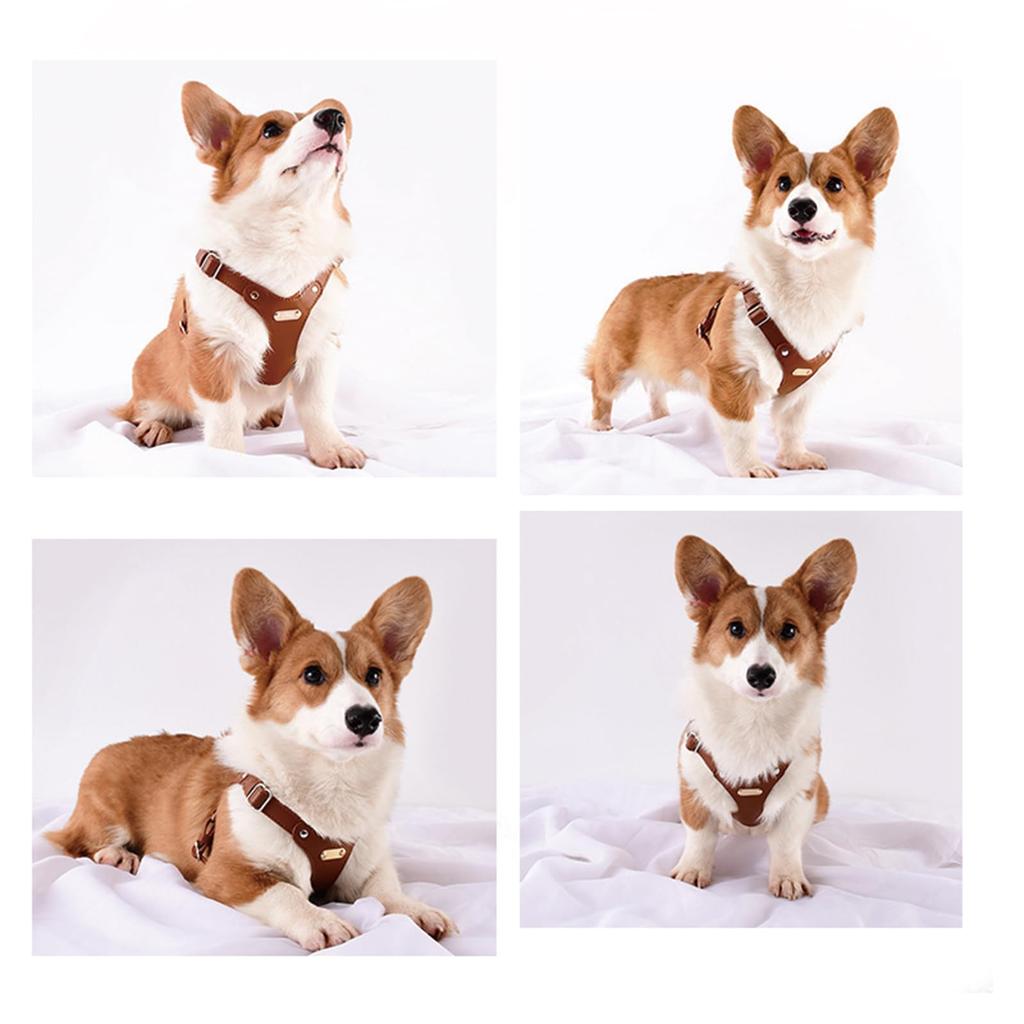 Feltor Brown Leather Dog Harness for Medium Suitable for Dogs with Chest Circumferences of and Weights of Compatible with the Same Model Dog No-Slip