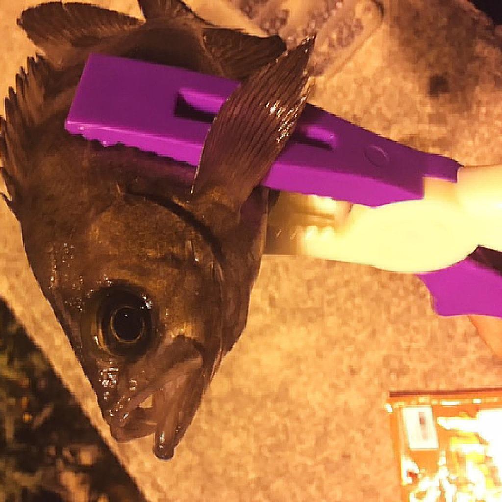 RISEWAY Fish Gripper Purple x Glow UFG-004