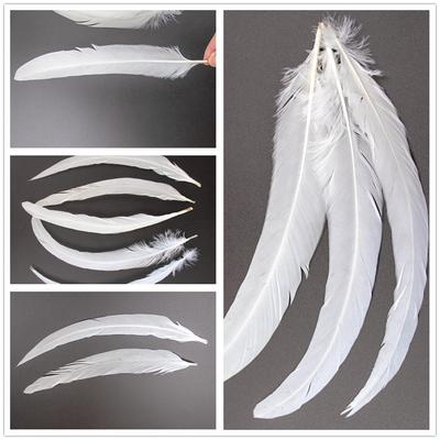 10 Stück/Los Naturweiße Fasanenfedern Hochzeit Heim Party Dekoration Länge Hahnenfedern DIY Kreative Karneval Bastelarbeiten 10-18"