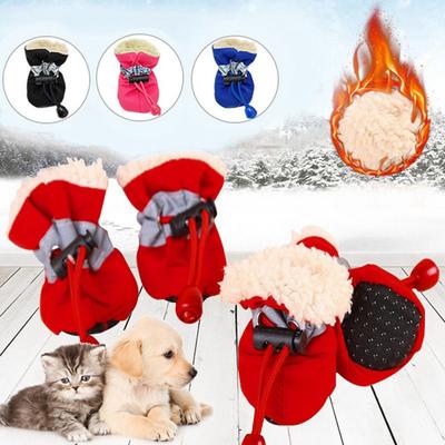 Roupa e sapatos – Sapatos para cães