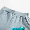 2026 Summer Boys' Casual Shorts - Children's Clothing