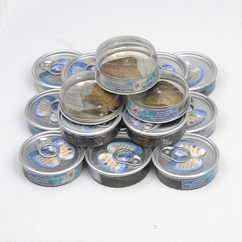 Innovatives Wish Pearl Halsketten-Set mit Anhängerkäfig Mysteriöses Perlen-Geschenkset Tolles Geschenk für kleine Mädchen