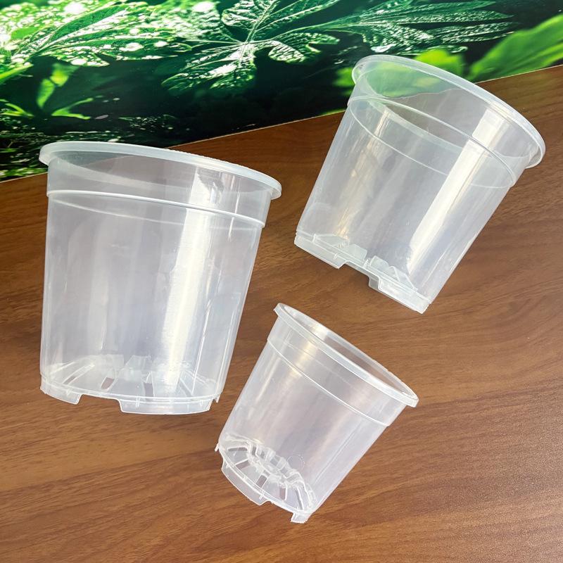 Clear Orchid Flower Pot - High Transparency, Thickened, Breathable for Dendrobium, Succulents, Roses, Phalaenopsis