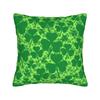 Saint St Patricks Day Pillow Cover Design Cushion Cover Cute Funny Pillow Case For Sofa Bedroom Home Decor