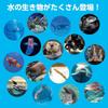 Artec Wakuwaku Aquarium Board Game 620x620mm for 2-4 Players Ages 3 and Up