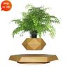 Magnetic Levitating Pot Amazing Plant Holder Floating Plant Pot for Office Home Decoration Mordern Ornaments Creative Gifts