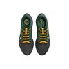 NFL X Nike Air Zoom Pegasus 40 Green Bay Packers Men Sneakers Black Anthracite Fir DZ5964-001