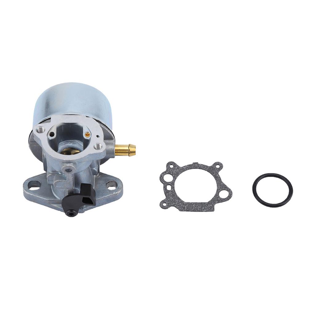 Carburetor For 497586 498170 799868 498254 497314