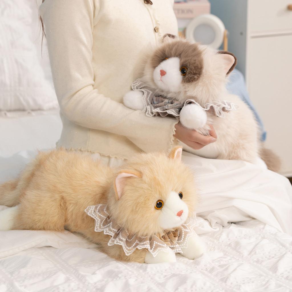 Plüschkatzenpuppe mit PP-Baumwollfüllung für Kinder und Erwachsene Perfektes Geschenk