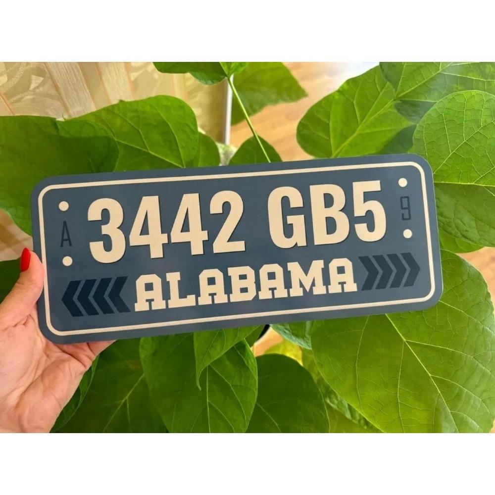 NÁS. registrační značka, USA. SPZ, kovová, 15x30 cm.