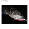 APIA Sea Bass Lure Balene 125F Crested Ibis #10