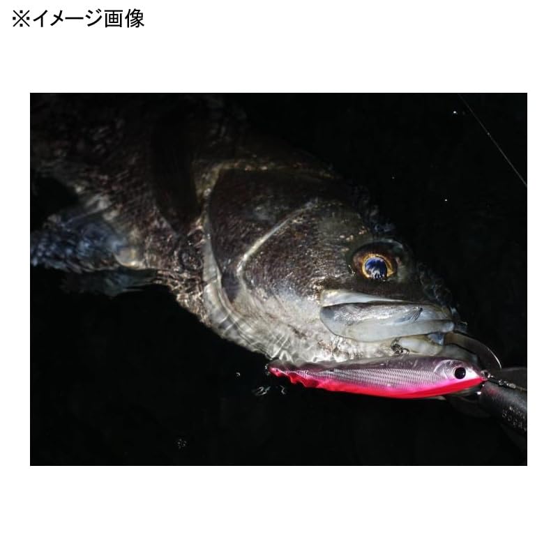 APIA Sea Bass Lure Balene 125F Crested Ibis #10