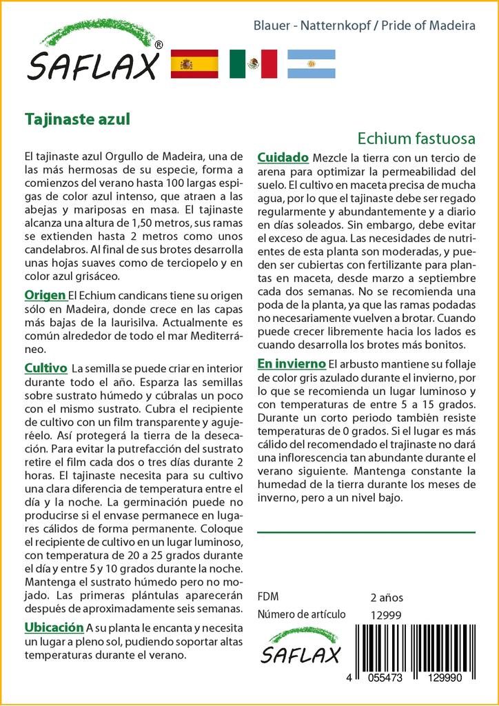 SAFLAX Pride of Madeira - 100 semen - Echium fastuosa