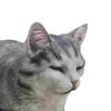 Kitty Figurine Realistic Novelty Modern Cute Sleeping Cat Statue Resin Animal Statue for Home Garden Dining Room, Bookshelf